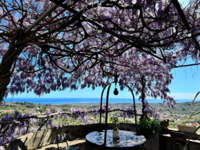 Il noceto dell'Etna Giarre